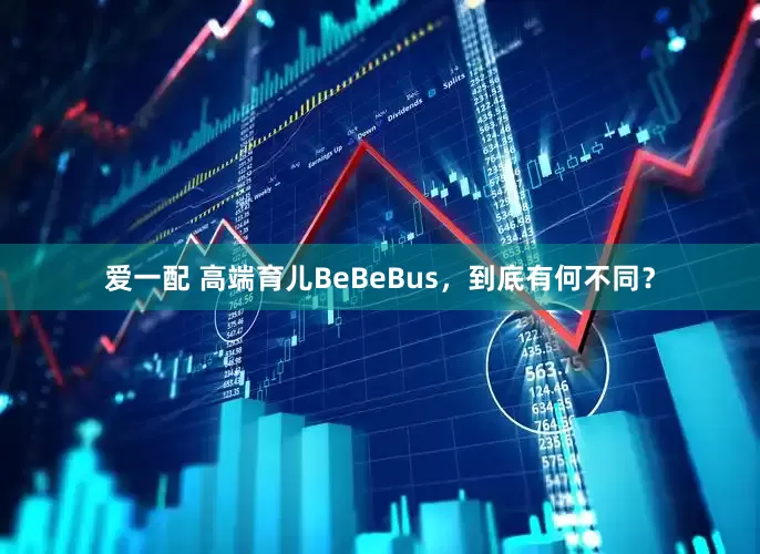 爱一配 高端育儿BeBeBus，到底有何不同？
